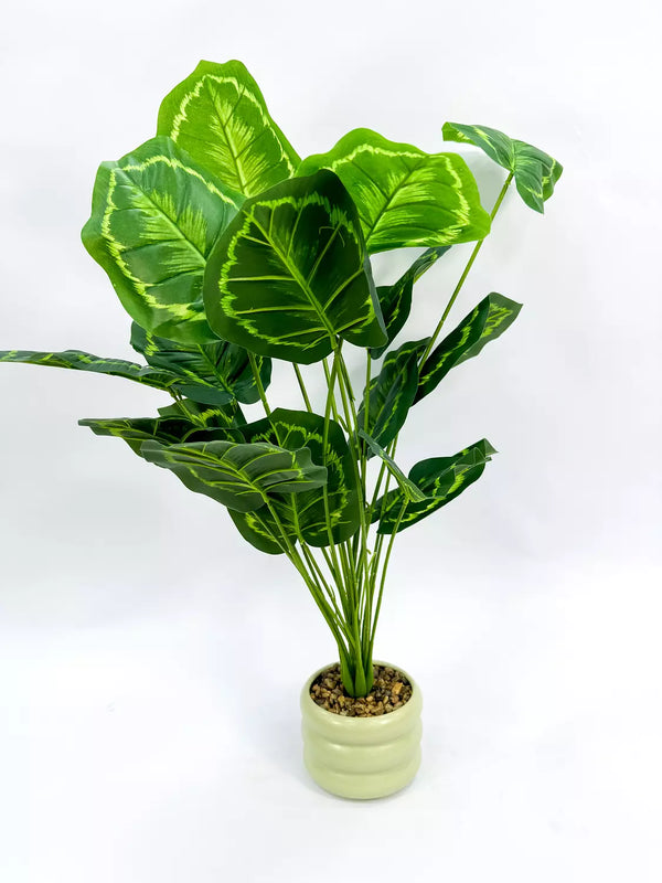 ceramic pot 2