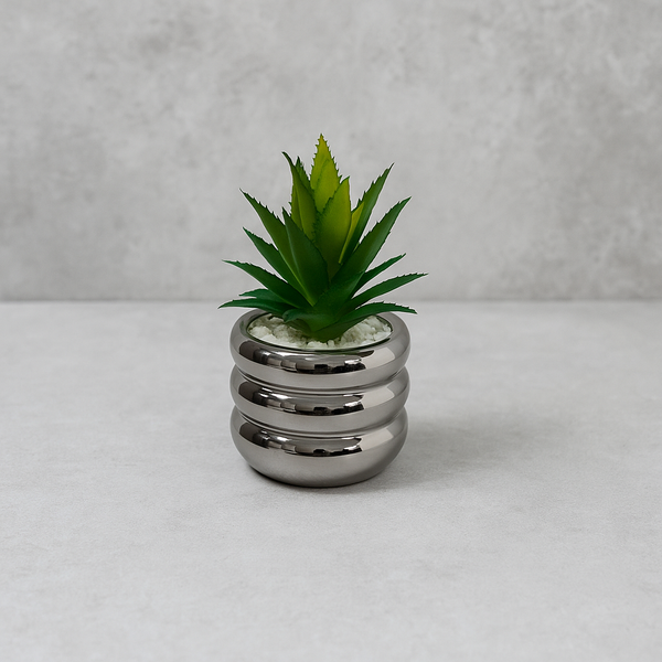 Flowers pots 11