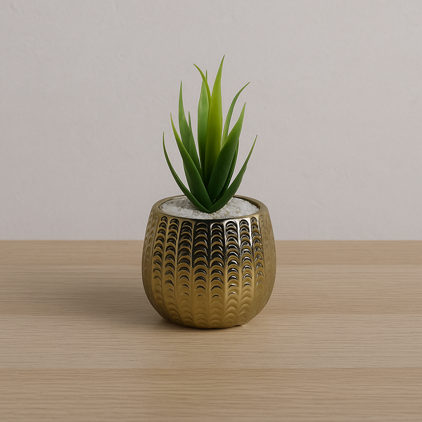 Flowers pots 12