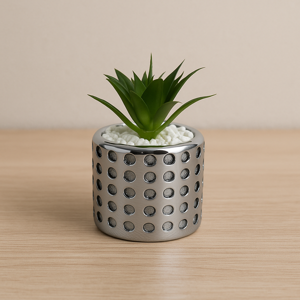 Flowers pots 13