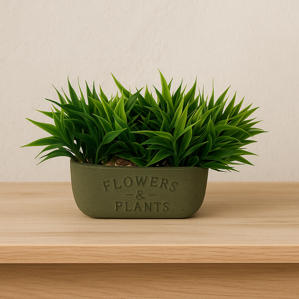 Flowers pots 16