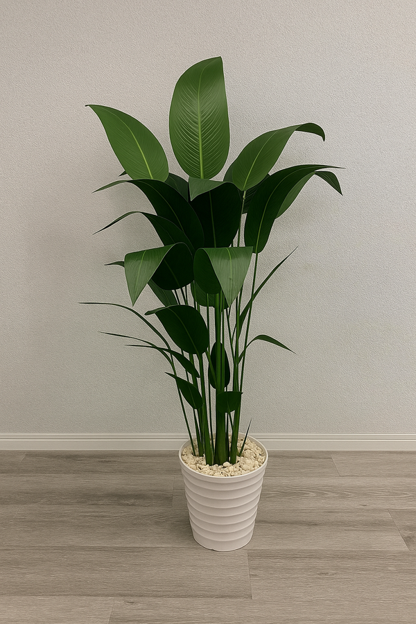 Bird of Paradise Tree with Denim Texture – 24 Leaves