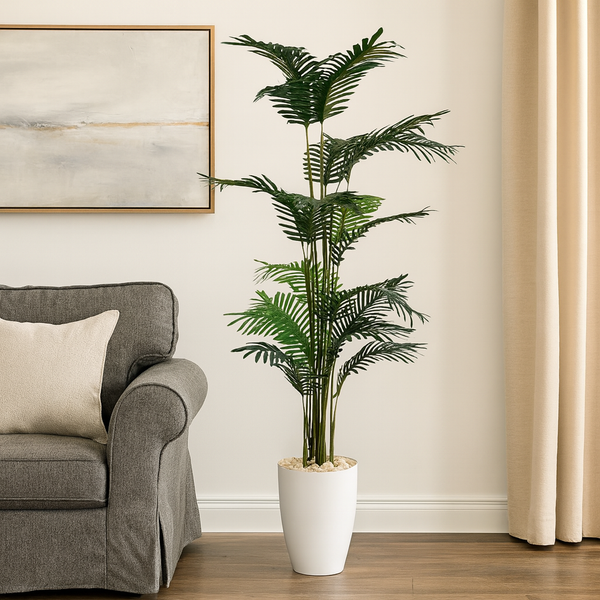 Areca Palm Tree – 18 Leaves