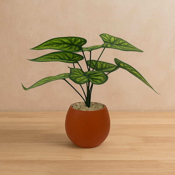 Flowers pots 4