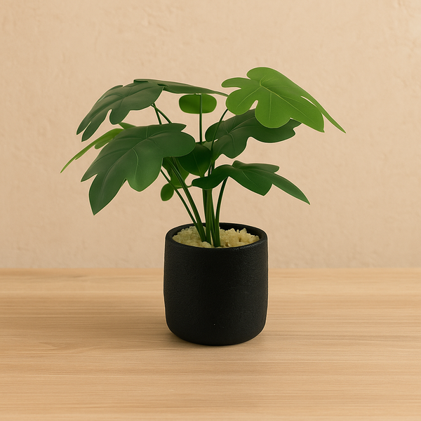 Flowers pots 6