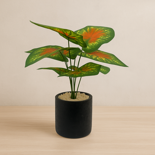 Flowers pots 7