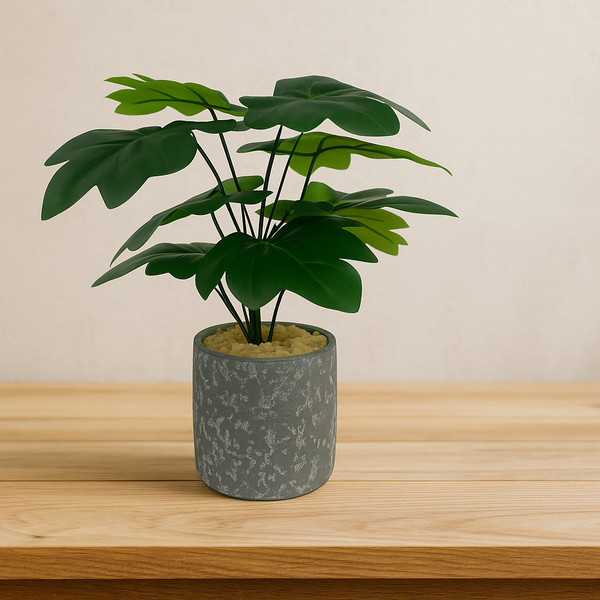 Flowers pots 9