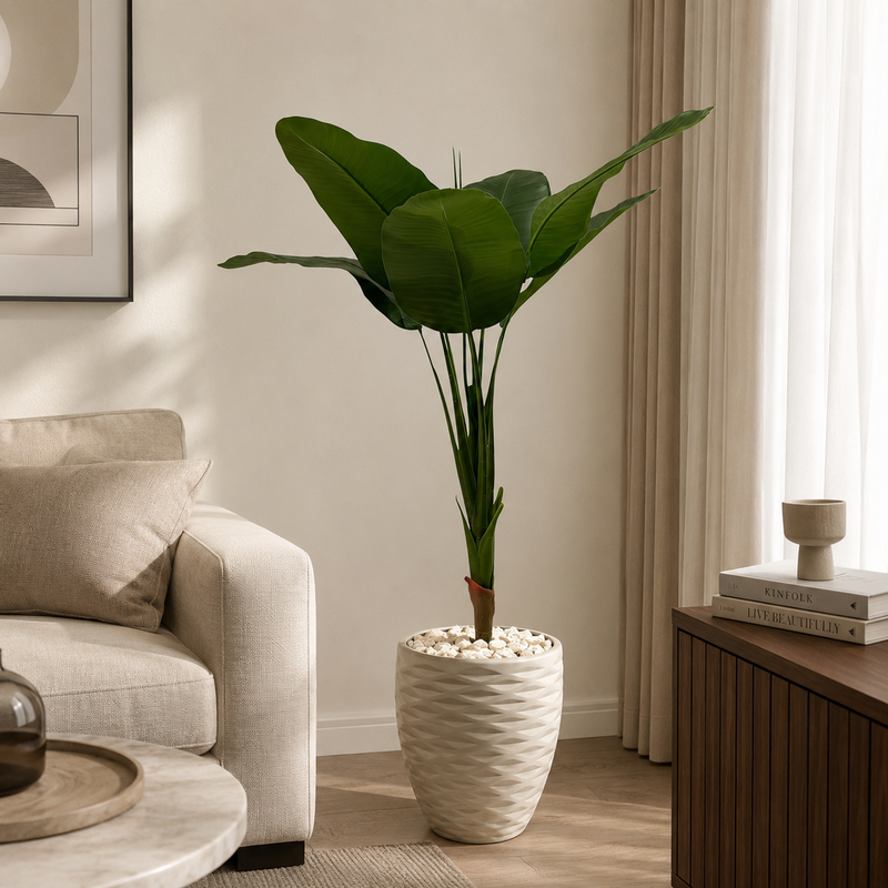 Emerald Haven Plant