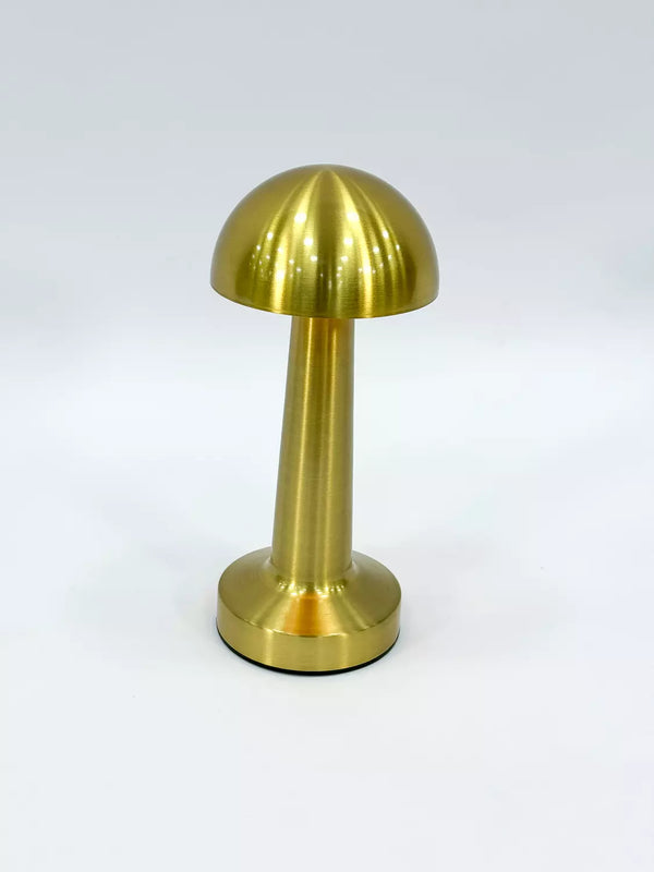 lampshade 2